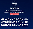 Программа ММФ БРИКС как отражение направлений устойчивого развития Программа ММФ БРИКС как отражение направлений устойчивого развития